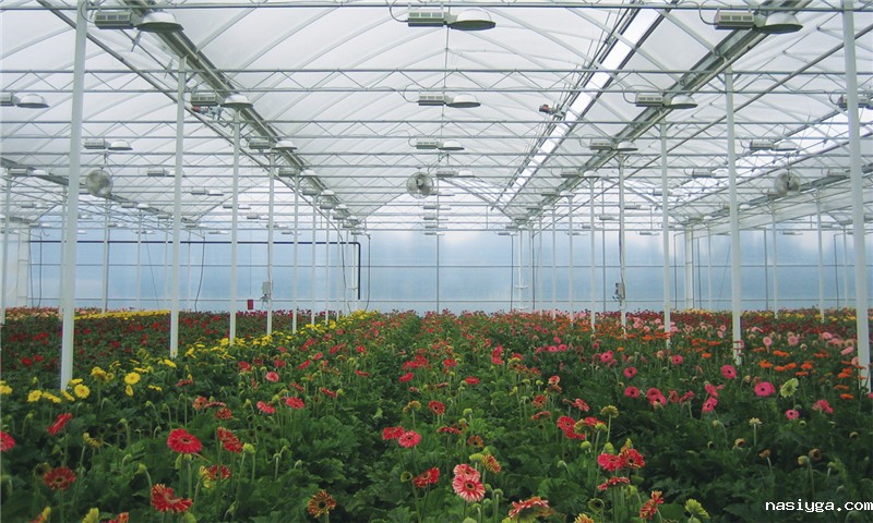 温室大棚工程-PC防滴板