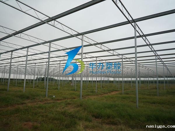 连云港东海县双店镇温室大棚PC阳光板