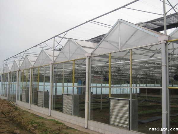 青岛夏庄四季采摘园PC阳光板温室大棚
