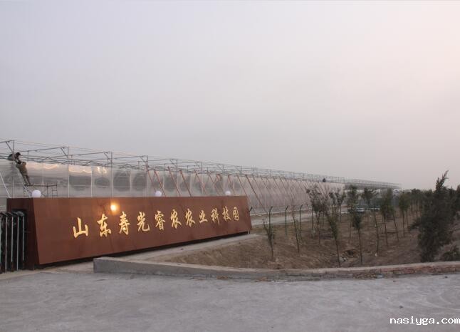 山东寿光睿农农业科技园温室大棚PC阳光板