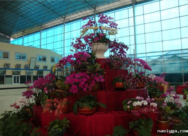 山东泰安花卉温室大棚PC阳光板