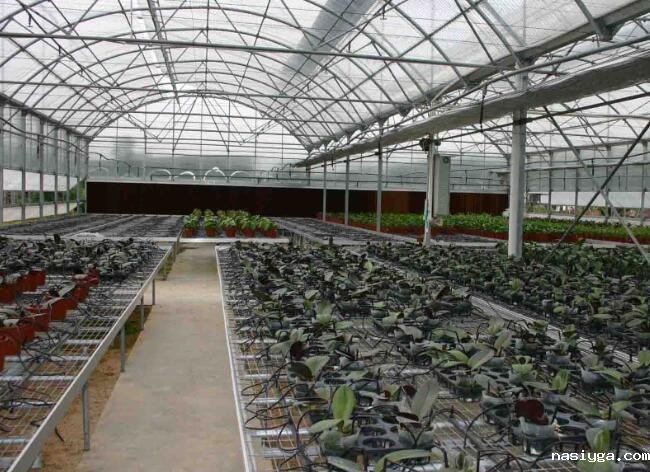 山东邹城花卉温室大棚PC阳光板