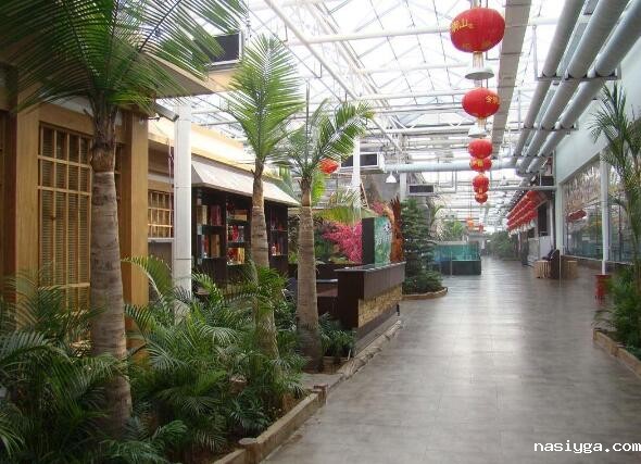 山西皇城相府生态餐厅 PC耐力板