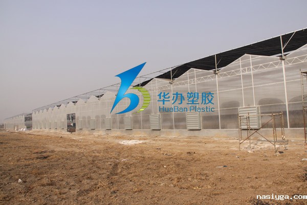 新疆伊犁哈萨克自治州温室大棚 PC阳光板