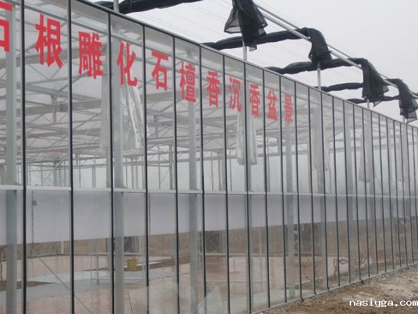 扬州盆景养殖温室大棚工程 PC阳光板