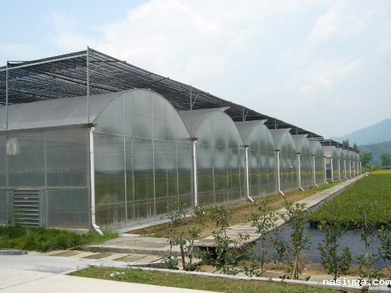 不同的工程选择PC阳光板的厚度汇总