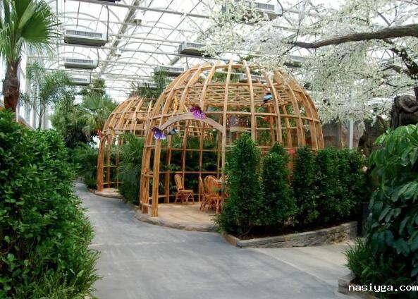 10mm四层PC阳光板温室生态餐厅