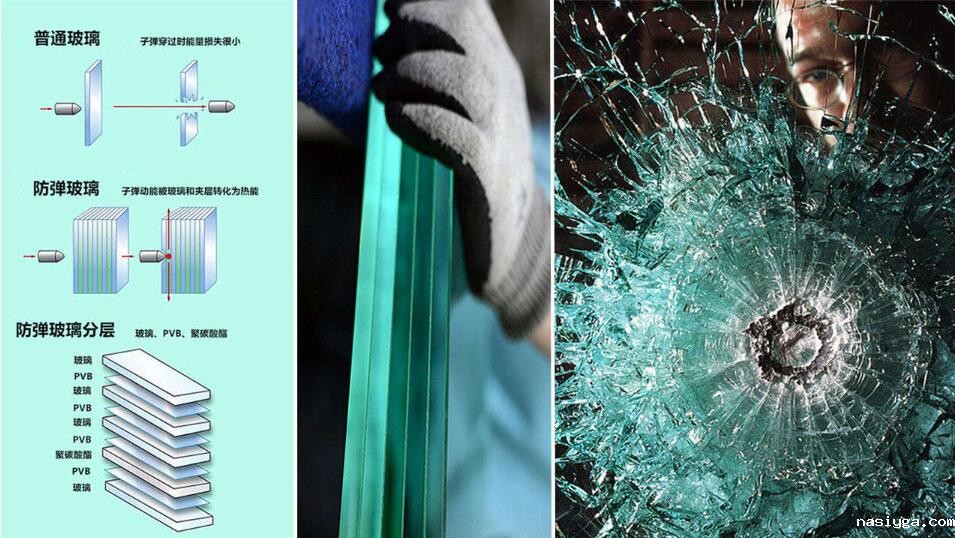 1681291513312854.jpg 86.jpg