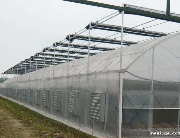 连排PC薄膜温室大棚 PC薄膜厂家