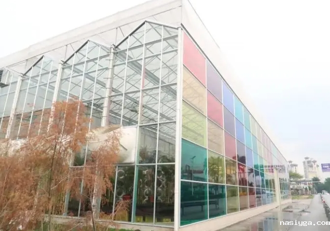 1731304393148727.png 04.png