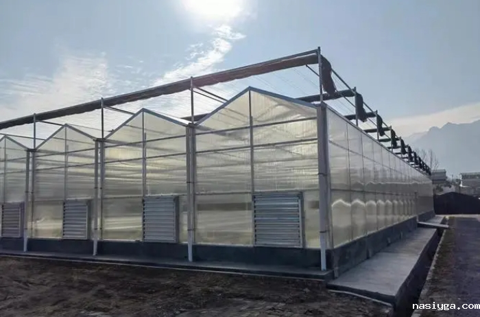 温室大棚的覆盖材料需要满足哪些条件