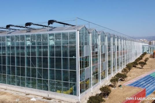 PC阳光板温室大棚适合种哪些蔬菜