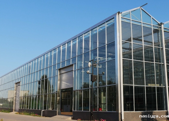 PC阳光板温室大棚建造方案（分享）