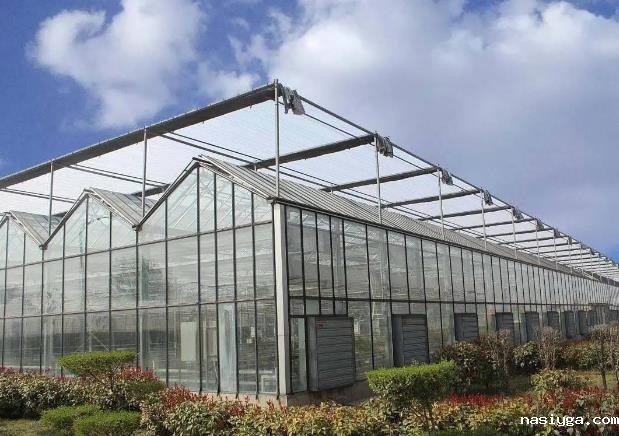 PC板新型温室大棚一亩造价多少钱？